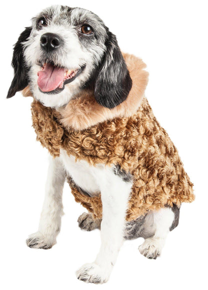 Dog wearing a brown curly coat on a white background