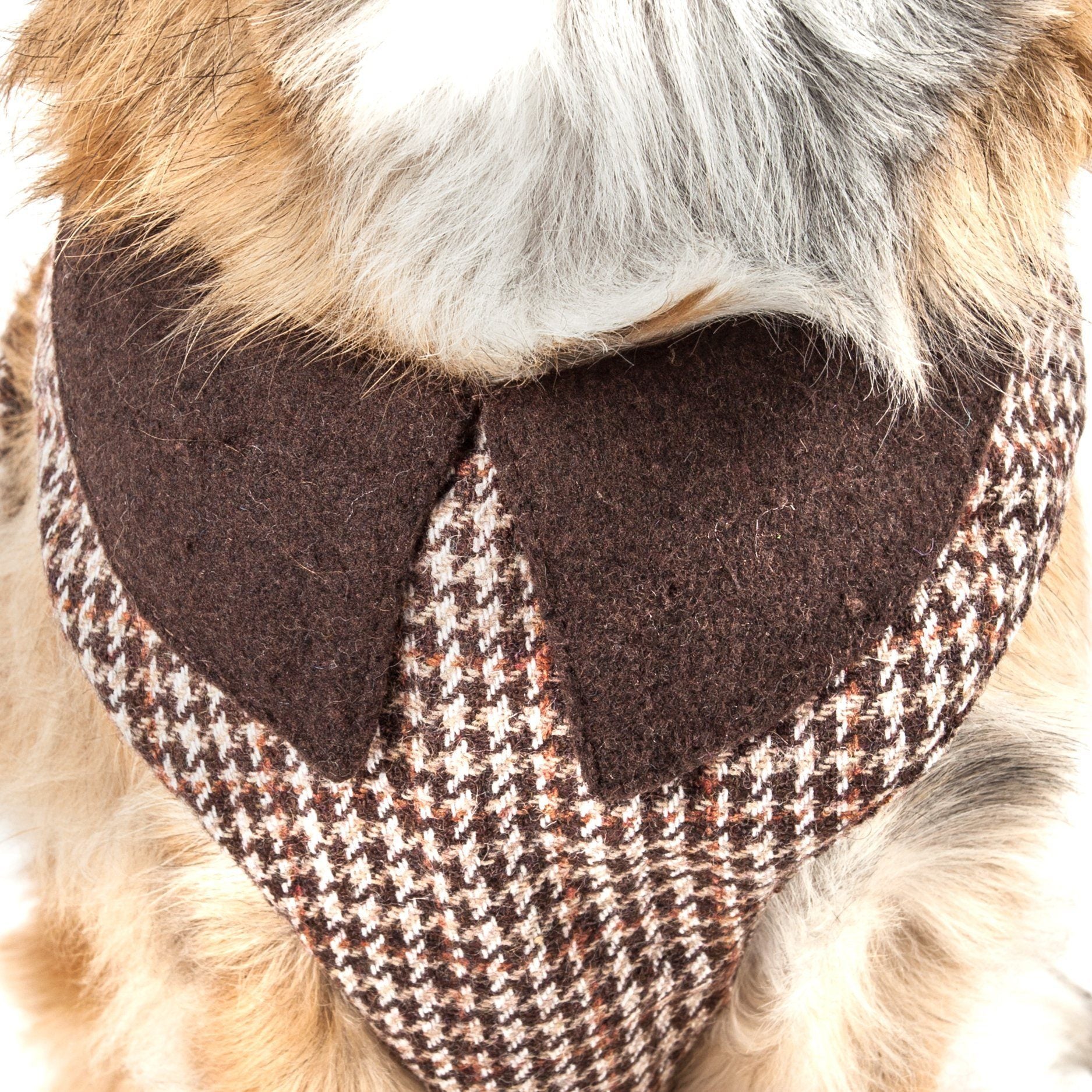 Dog wearing a houndstooth patterned eye mask with brown accents