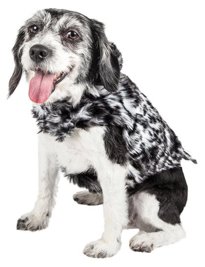 Dog wearing a patterned sweater on a white background