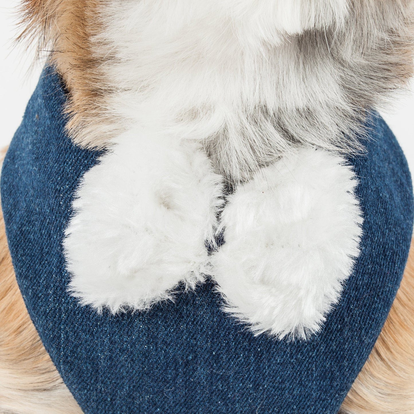 Blue slipper with white fur lining and brown fur trim on a wooden surface