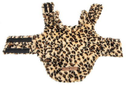 Leopard print dog harness on a white background