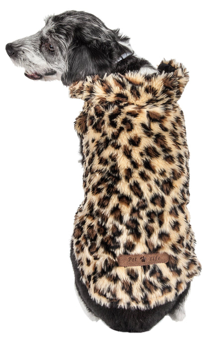 Dog wearing a leopard print coat on a white background