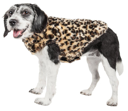 Dog wearing a leopard print coat on a white background