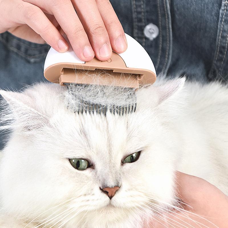 Person using a pet grooming brush on a white cat