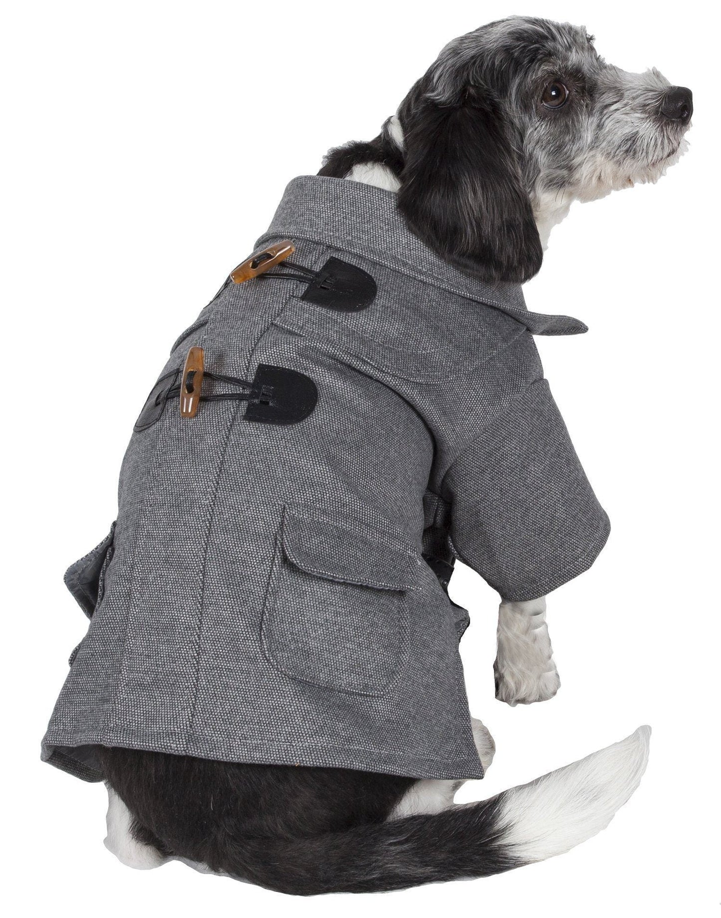 Dog wearing a gray coat with button details on a white background