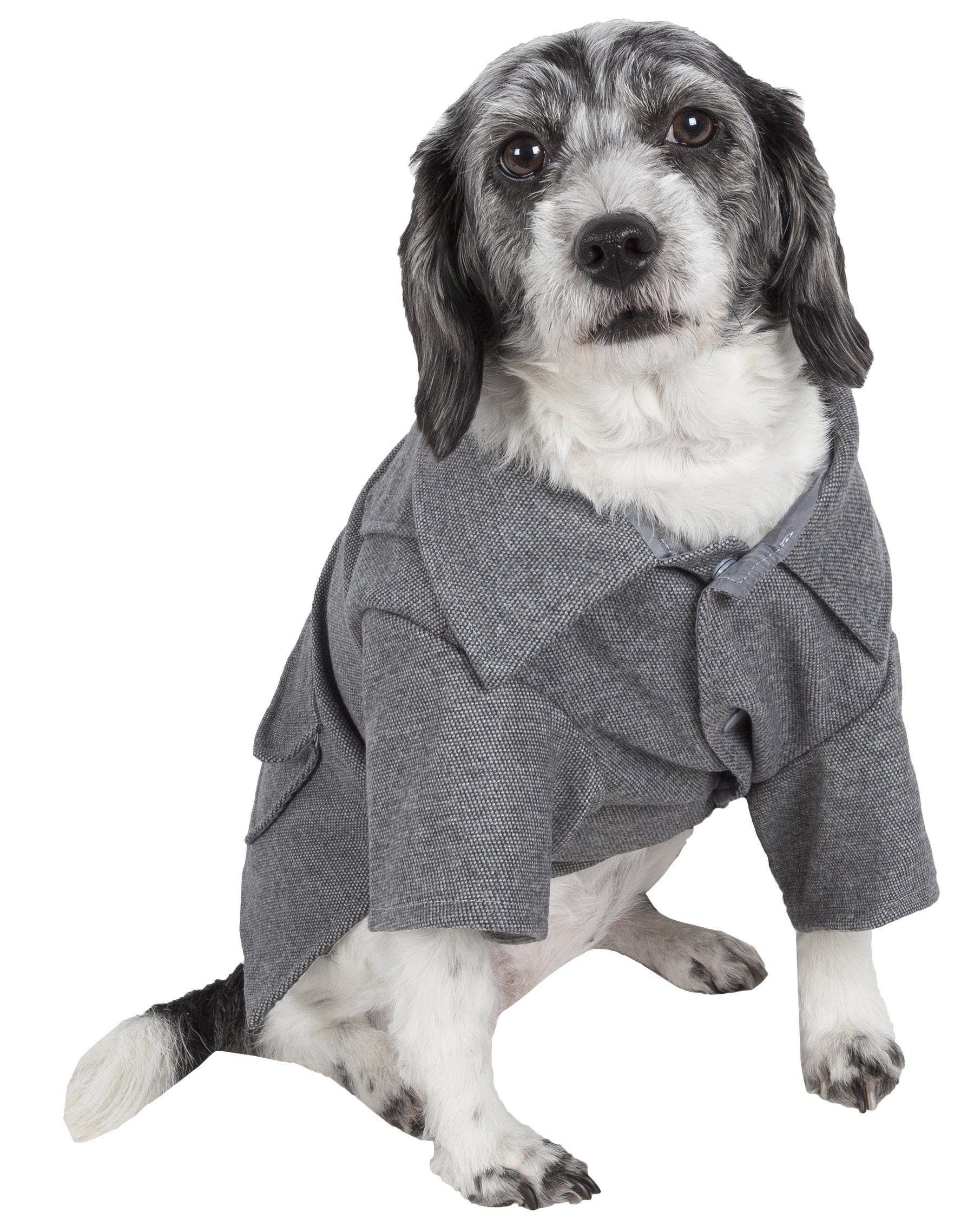 Dog wearing a gray coat on a white background