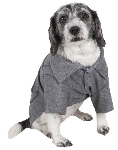 Dog wearing a gray coat on a white background