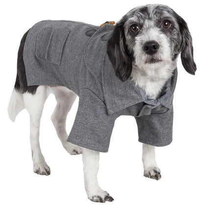 Dog wearing a gray coat on a white background