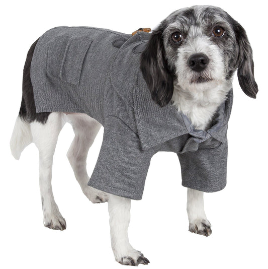 Dog wearing a gray coat on a white background