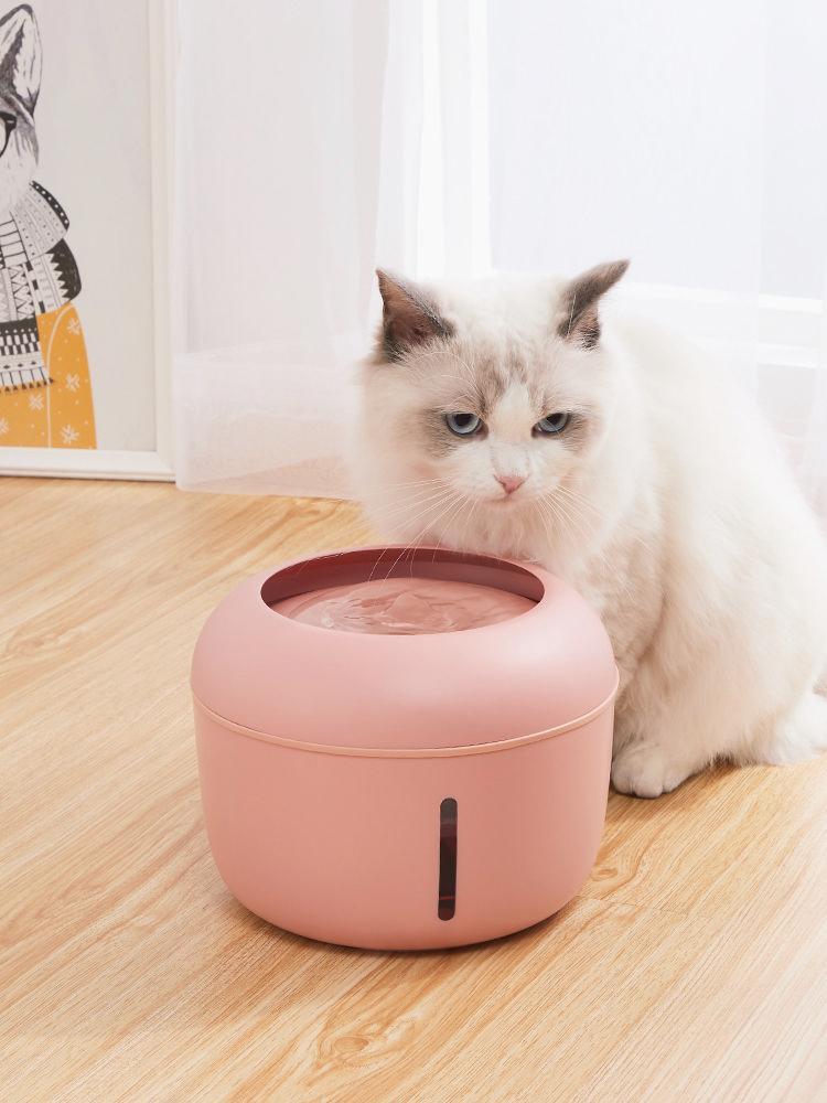 Cat sitting next to a pink pet water fountain on a wooden floor.