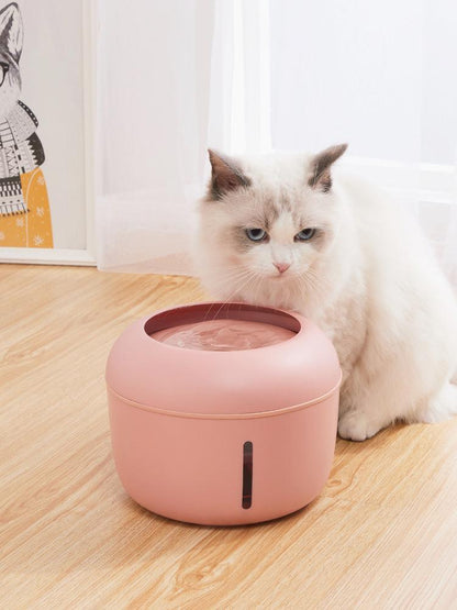 Cat sitting next to a pink pet water fountain on a wooden floor.