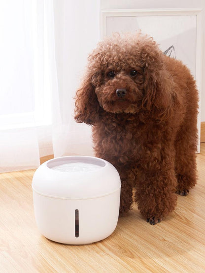 Brown dog standing next to a white humidifier on a wooden floor.