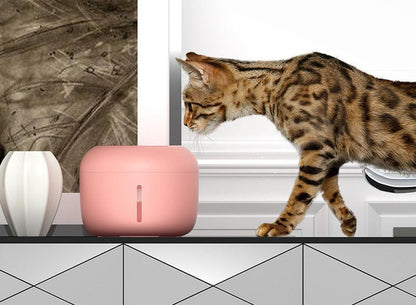 Cat approaching a pink humidifier on a tiled floor.