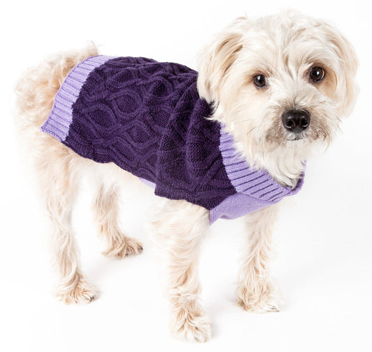 Dog wearing a purple sweater on a white background