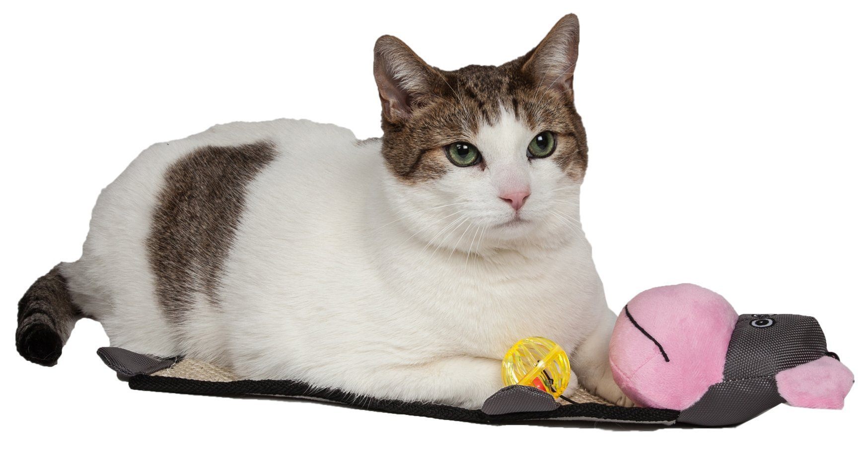 Cat lying on a catnip toy with a pink mouse and yellow flower on a white background