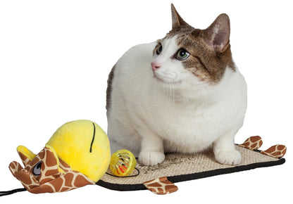 Cat sitting on a catnip toy with a white background
