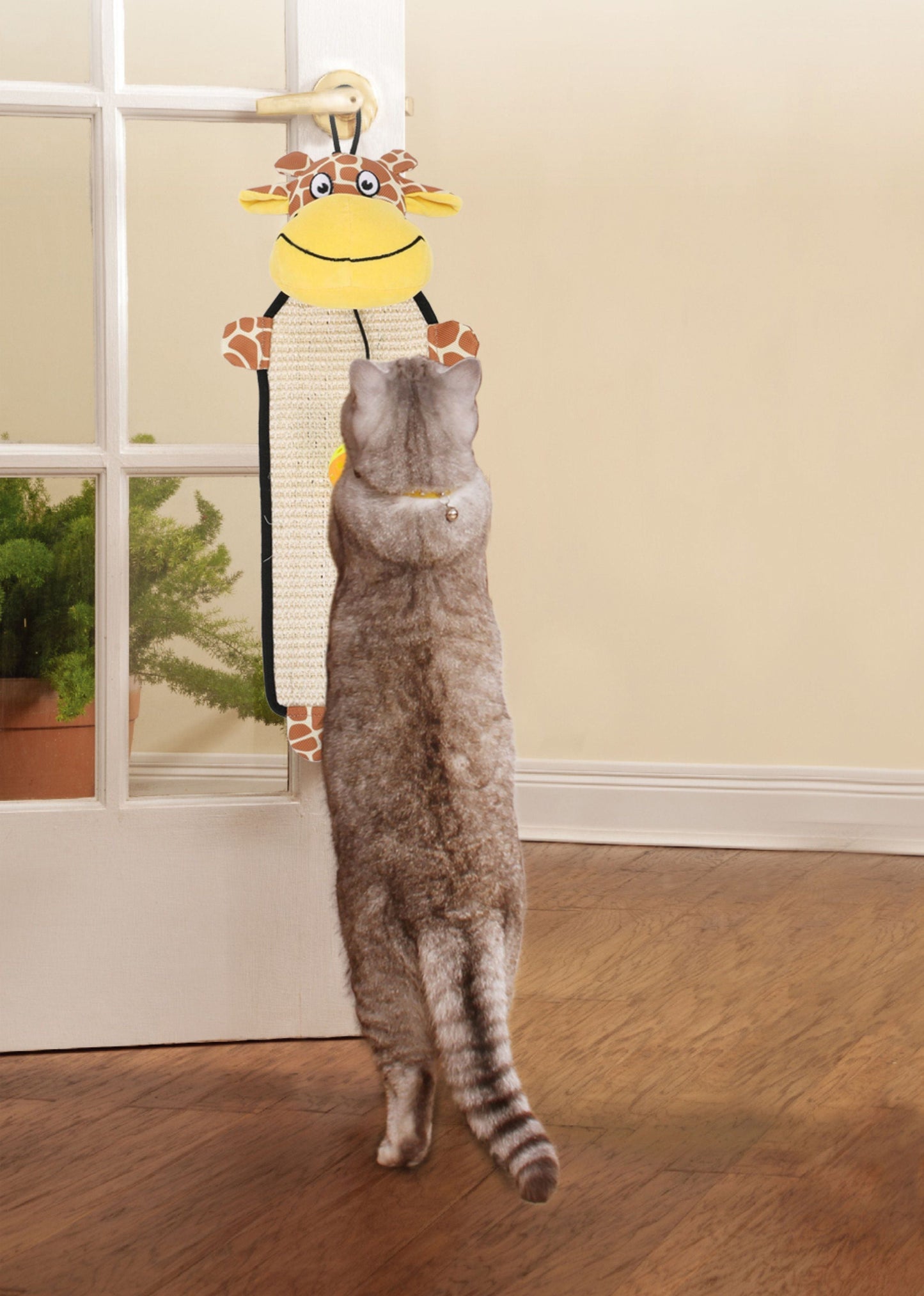 Cat standing on a wooden floor with a toy resembling a giraffe.