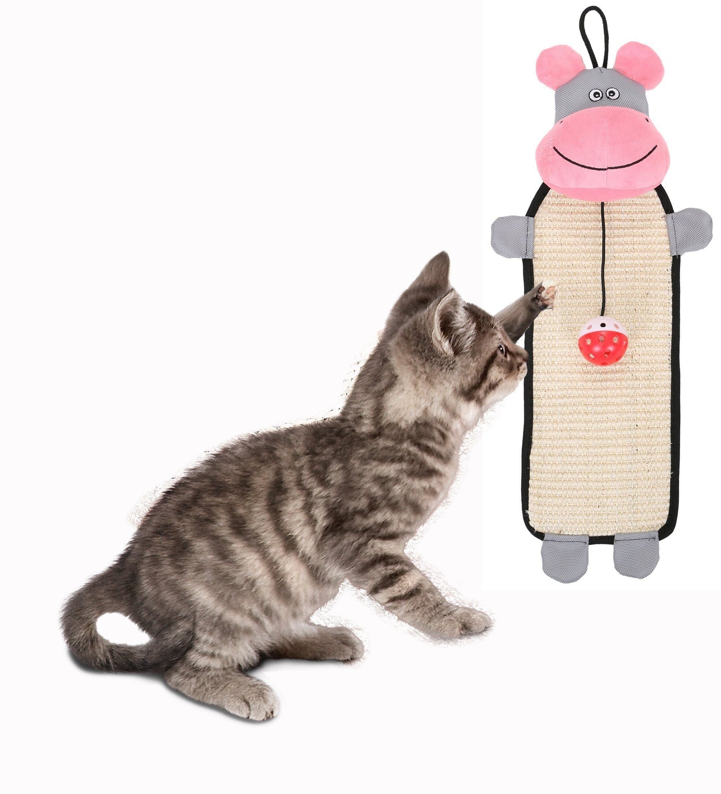 Cat playing with a toy shaped like a pig on a white background