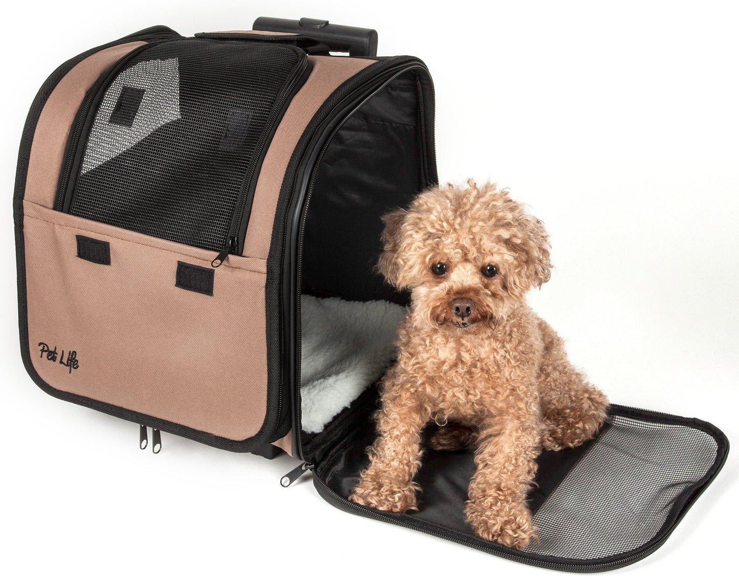 Dog sitting inside a pet carrier with a beige exterior and black interior.