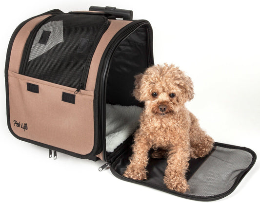 Dog sitting inside a pet carrier with a beige exterior and black interior.