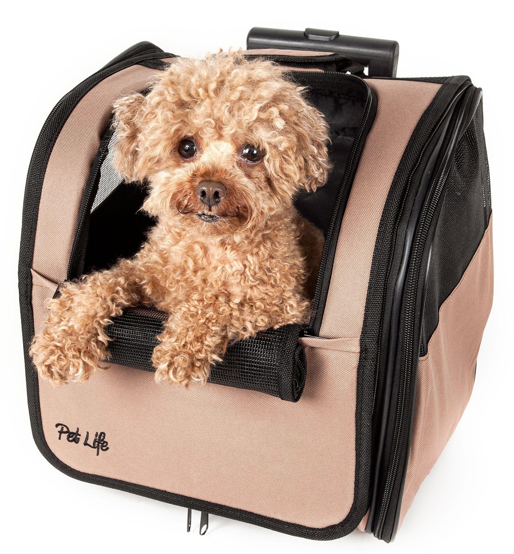 Small dog sitting in a beige pet carrier with 'Pet Life' branding.