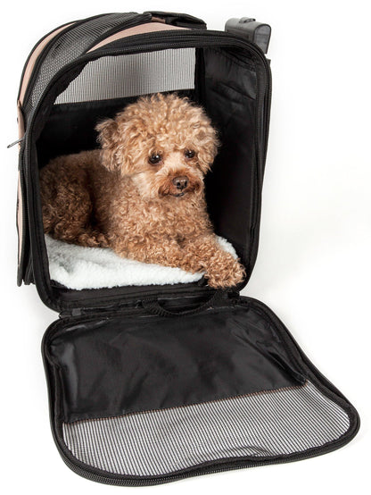 Small dog inside a black pet carrier on a white background