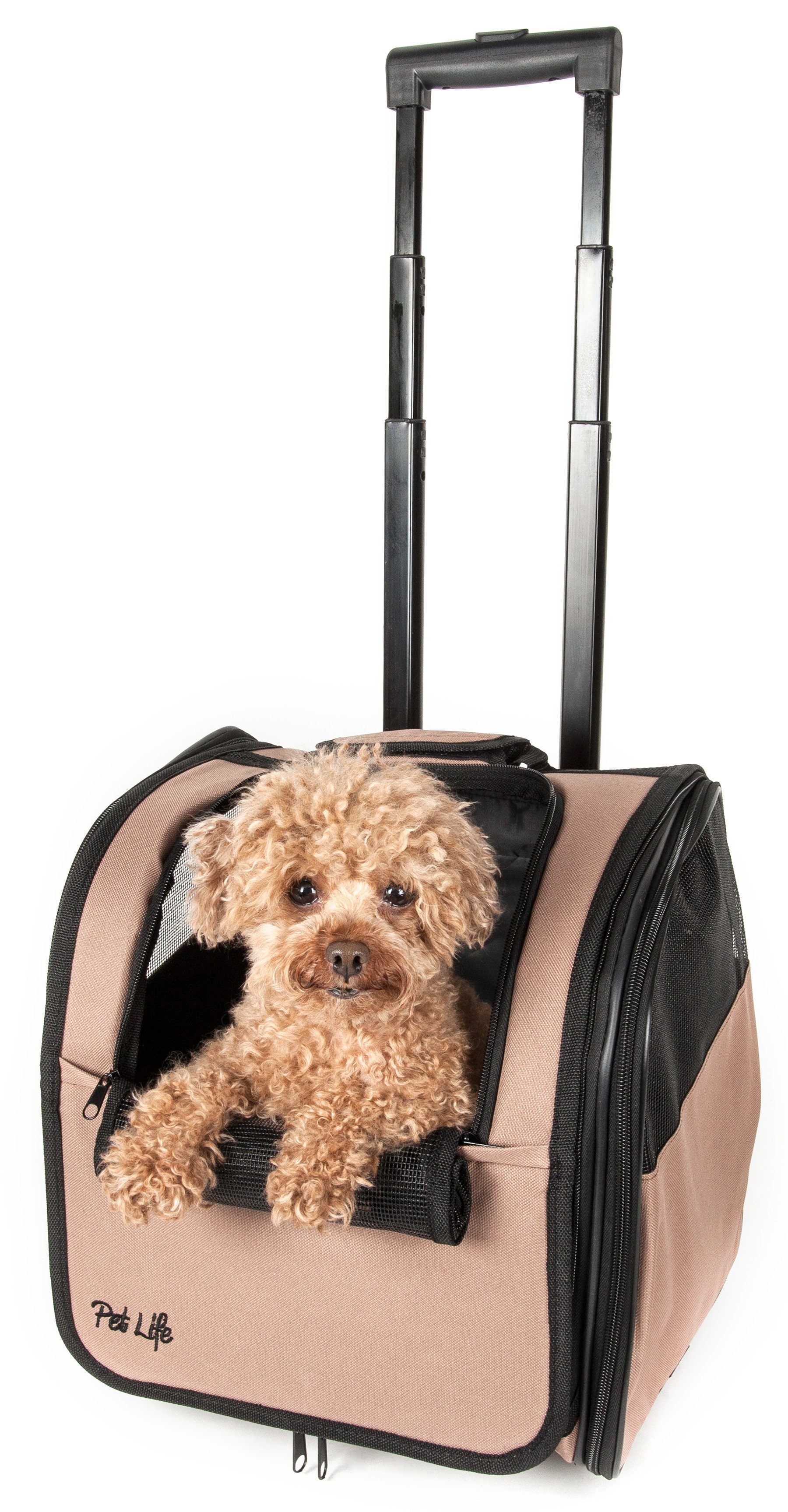 Pet carrier with a dog inside on a white background