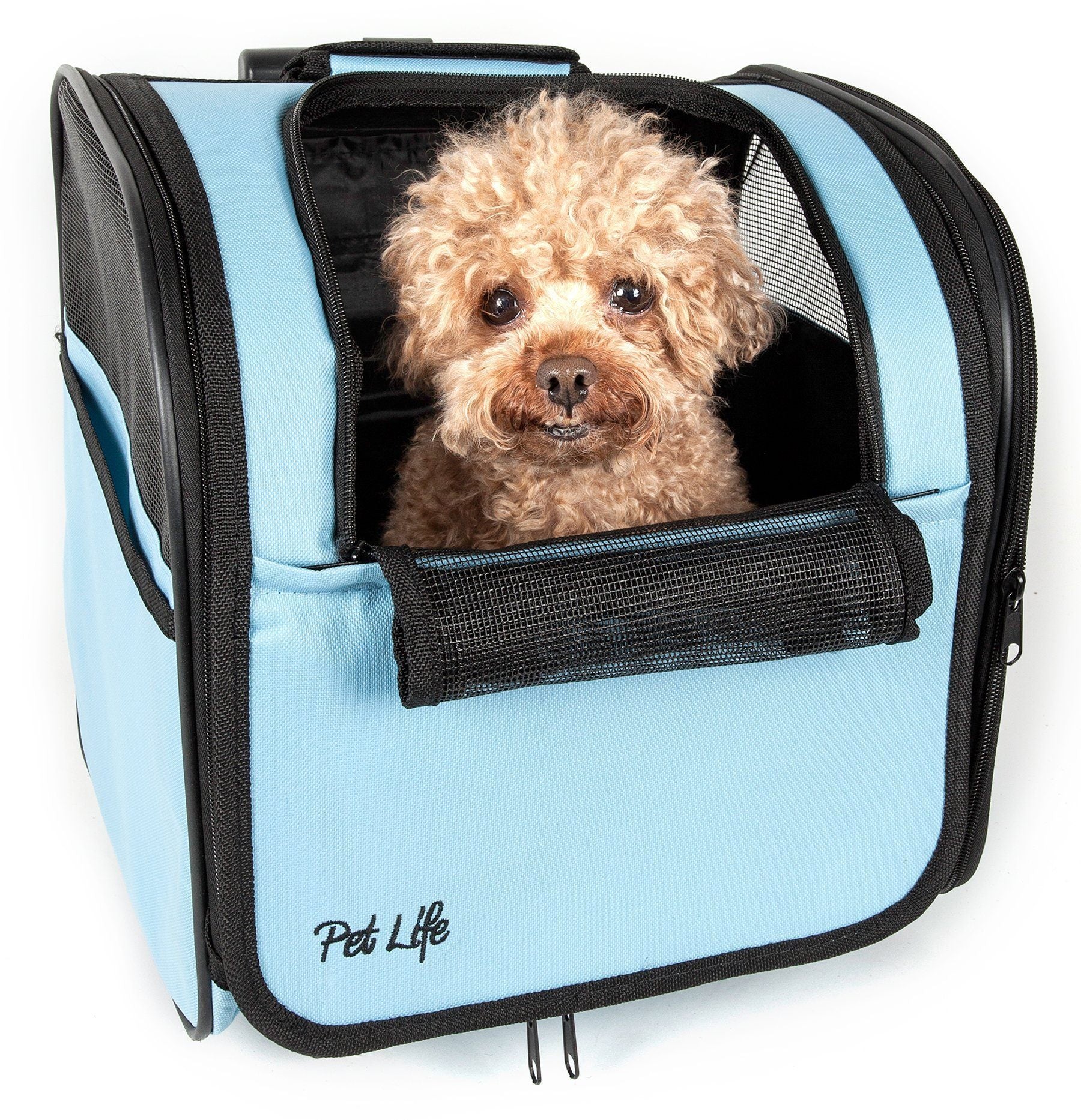 Small dog inside a light blue pet carrier with 'Pet Life' branding on a white background