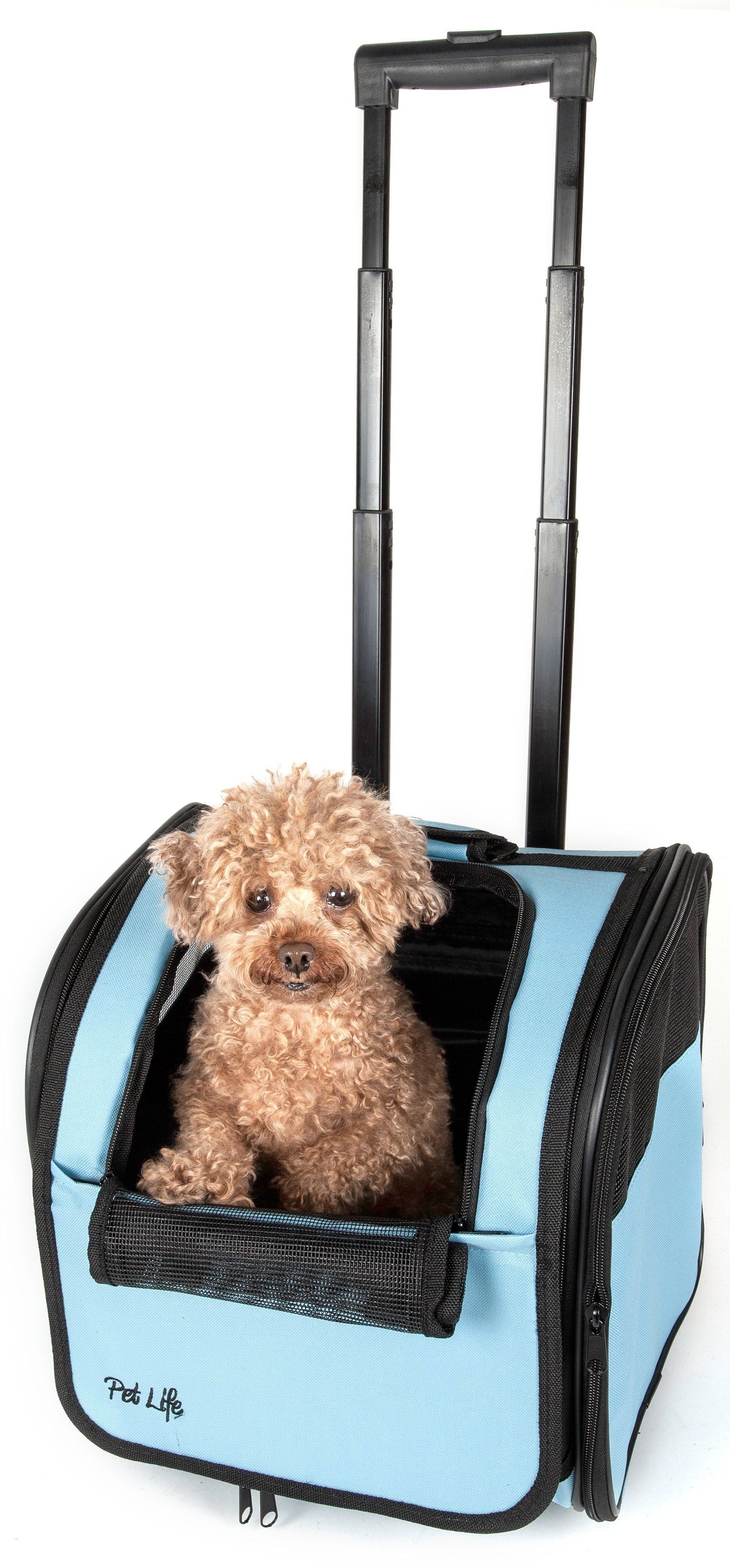 Pet carrier with wheels and a dog inside on a white background