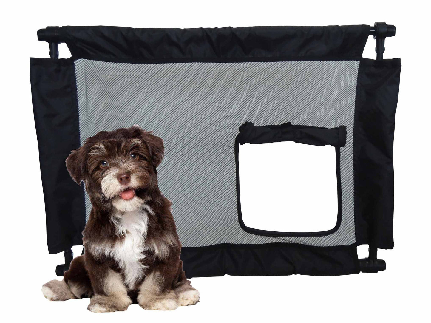 Pet carrier with a small dog sitting inside on a white background