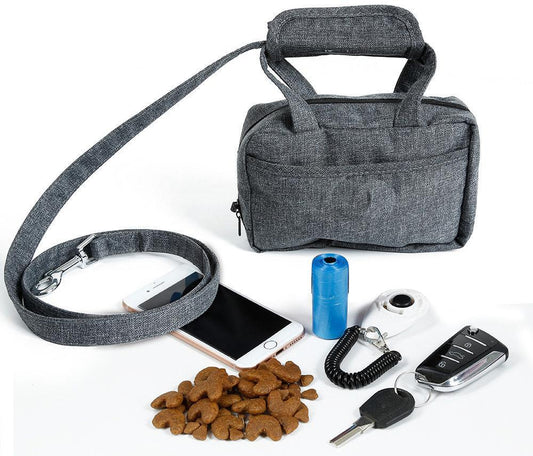Gray pet travel bag with leash, phone, treats, and car keys on a white background