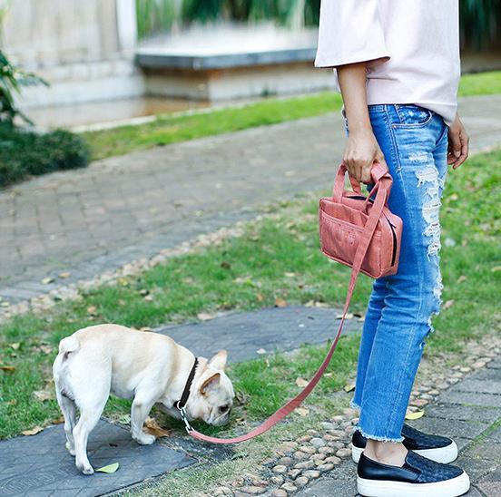 Person walking a dog on a leash with a pink handbag in an outdoor setting