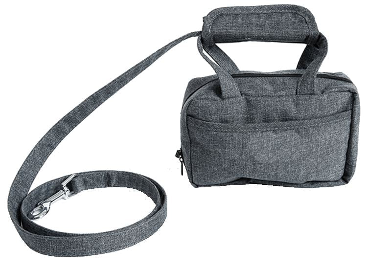 Gray pet carrier with matching leash on a white background