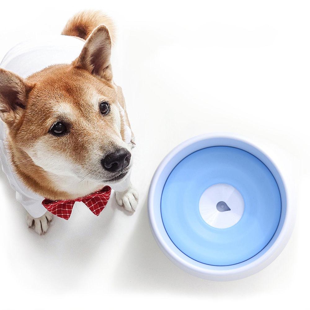 Dog wearing a red bow tie next to a blue and white pet product on a white background