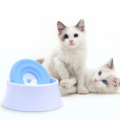 Two white cats with blue eyes sitting next to a blue and white pet toy on a white background