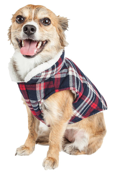 Dog wearing a plaid coat on a white background