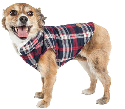 Dog wearing a plaid coat on a white background