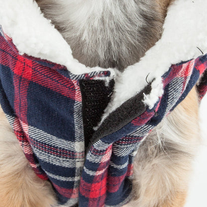 Plaid dog coat with white fur lining on a dog