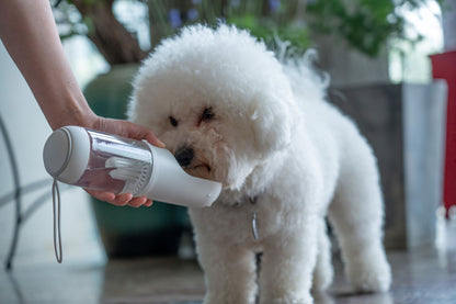 Person holding a white pet water bottle next to a small white dog indoors.