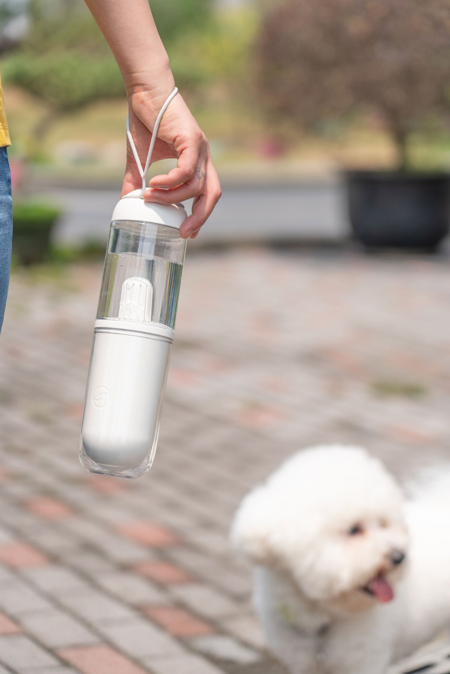 Person holding a transparent water bottle with a white cap, with a small white dog in the background.