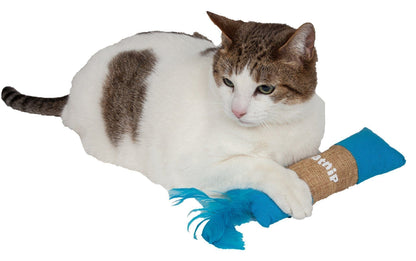 Cat playing with a blue feather toy on a white background