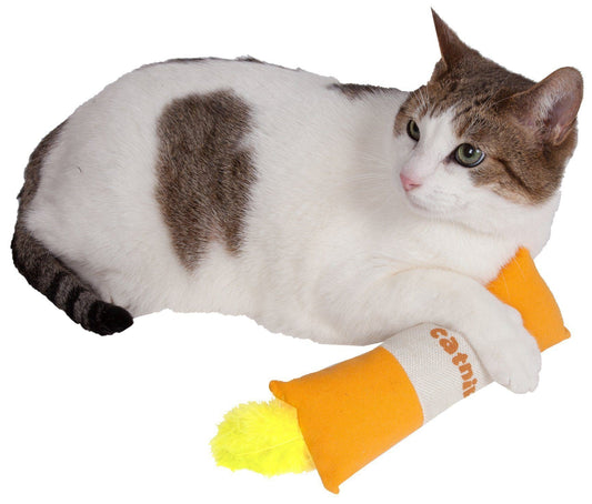 Cat playing with a toy shaped like a candy corn on a white background