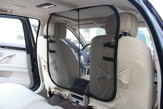 Car interior with a seat cover and headrest protector