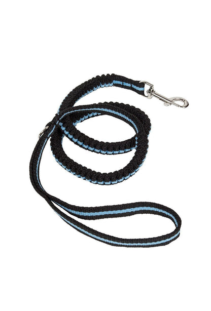 Black and blue braided dog leash with a metal clip on a white background