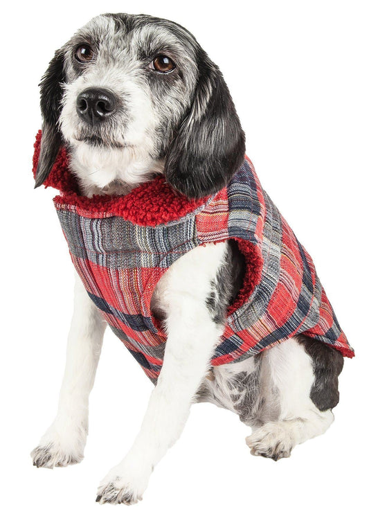 Dog wearing a plaid sweater with a red collar on a white background