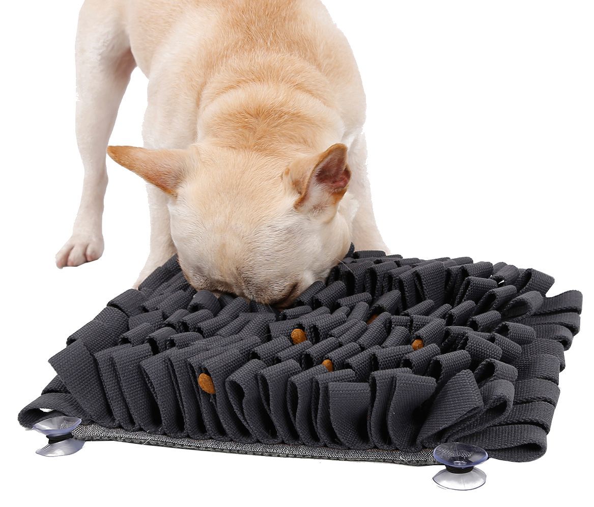 Dog interacting with a textured mat on a white background