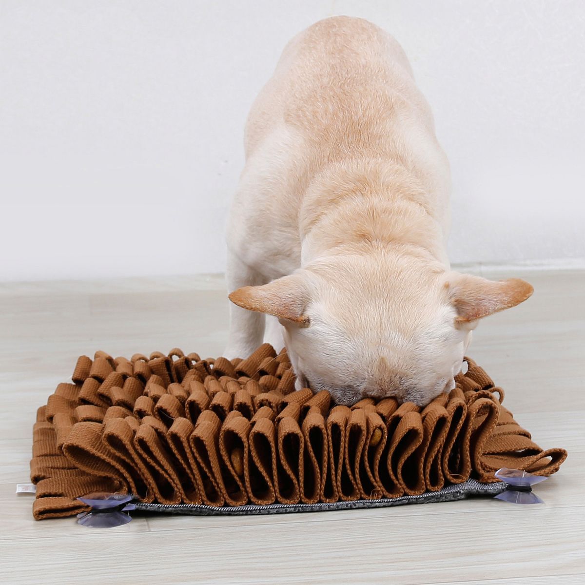 Dog interacting with a brown textured mat on a light wooden floor.