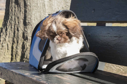 Small dog sitting inside a blue pet carrier on a wooden bench.