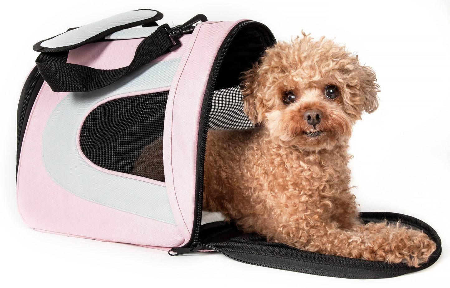 Small dog sitting inside a pink pet carrier with a white background
