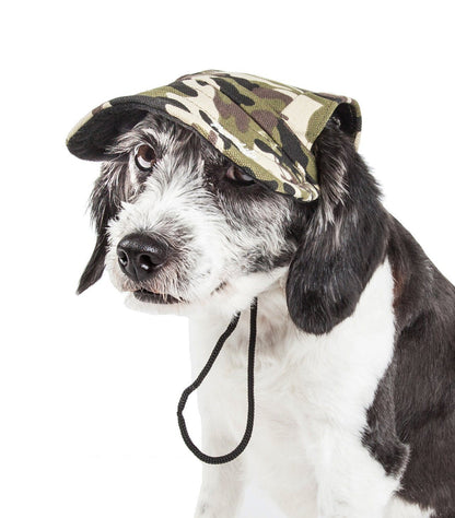 Dog wearing a camouflage hat on a white background